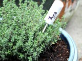 diy-cork-marker-for-herbs-and-veggies-2