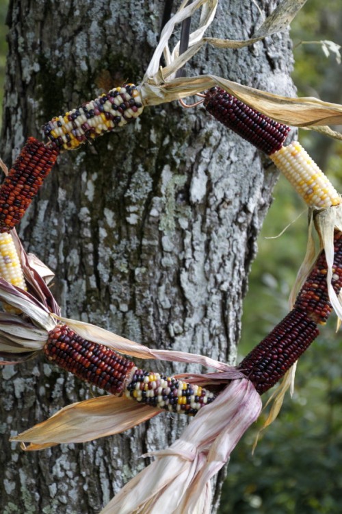 Indian corn wreath (via hgtvgardens)
