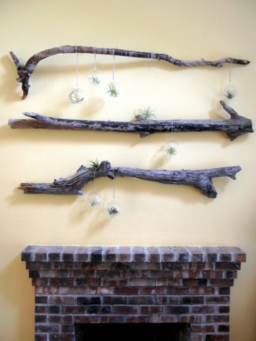 Diy Driftwood And Terrarium Wall Decorations