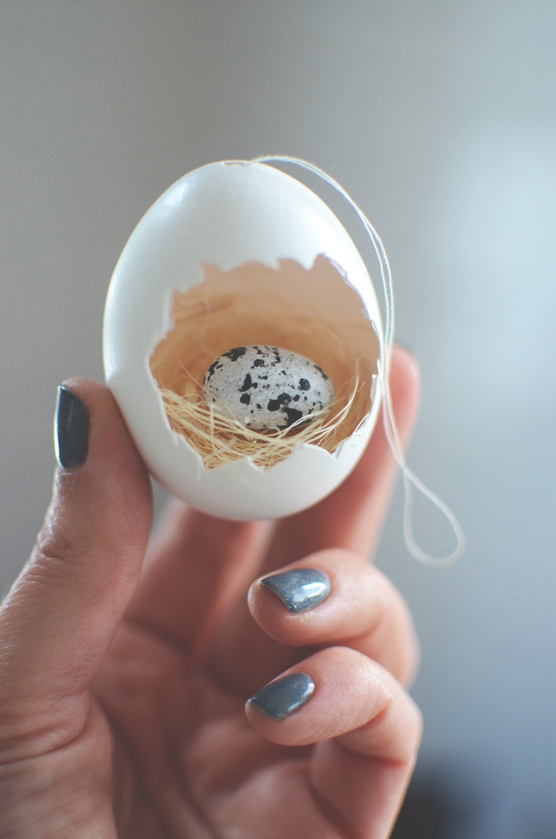 Picture Of diy easter egg ornament with a nest inside  2