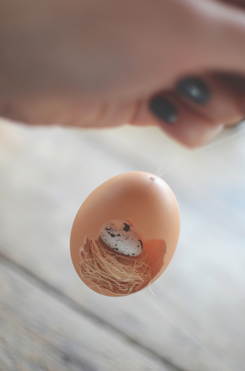 Picture Of diy easter egg ornament with a nest inside  8