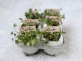 eggshell place card holders