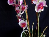 Diy Faux Potted Orchids