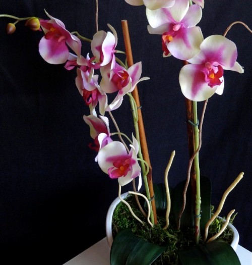 Beautiful DIY Faux Potted Orchids
