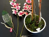 Diy Faux Potted Orchids