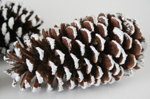Diy Faux Snowy Pinecones For Winter Decor
