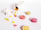 citrus clay magnets