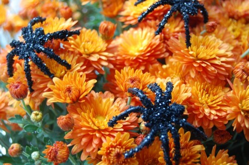 DIY Glittered Spiders To Turn Your Fall Decor Into Halloween One