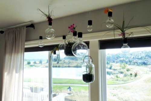 DIY Eco-Friendly Hanging Garden - Shelterness