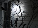full moon lamp of a hoop