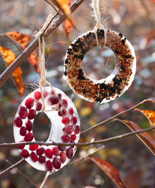 birdseed ice ornaments (via hellonatural)