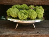 moss centerpiece