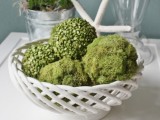 peas and moss balls for decor