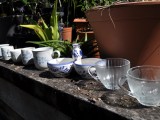 Diy Indoor Teacup Succulent Garden