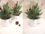 Diy Mini Christmas Trees