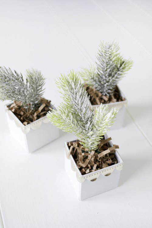 Cool Favors: DIY Mini Christmas Trees In Boxes