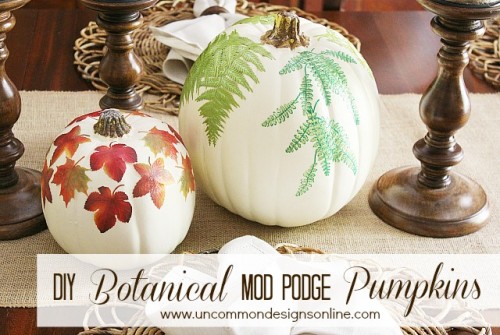 Diy Mod Podge Botanical Pumpkins