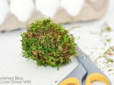 Diy Moss Covered Easter Eggs