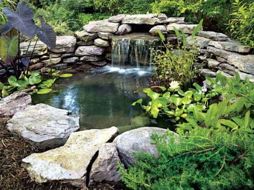 7 DIY Natural Rock Ponds To Transform Your Backyard