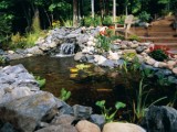 backyard stone pond