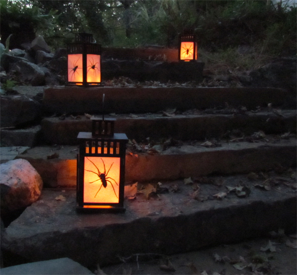 Diy Outdoor Halloween Lanterns With Spiders Inside