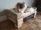 Diy Pallet Dog Beds