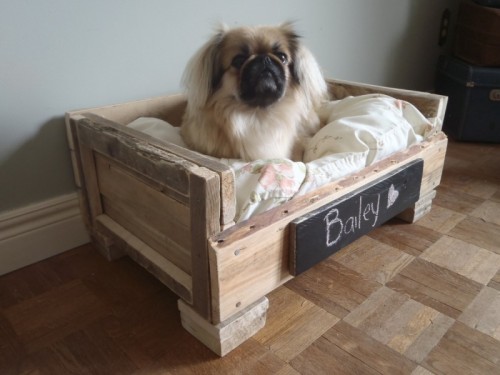 DIY Pallet Pet Beds