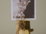 tree branch photo holder