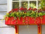Diy Red Window Planter Box