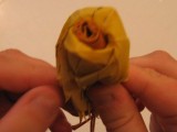 Diy Roses From Maple Leaves