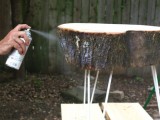 diy-rustic-end-table-from-a-tree-stump-slice-7