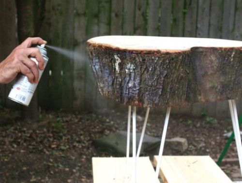 DIY Rustic End Table From Tree Stump Slice