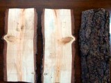 Diy Rustic Log Shelves