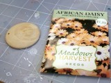 Diy Seed Packet Necklace