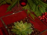 Diy Small Succulent Centerpiece For Christmas
