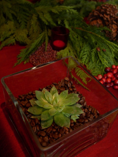 Small Succulent Centerpiece For Christmas Table