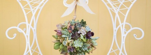 DIY Succulent Ball Topiary For Decor Inside And Outside