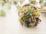 Diy Succulent Ball Topiary For Decor Inside And Outside
