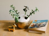 Diy Succulent Planter From A Toothbrush Holder