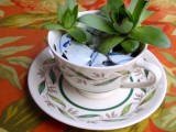 Diy Succulent Teacup Garden
