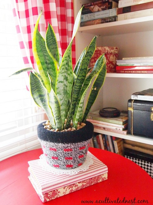 DIY Sweater Covered Pot For Winter Decor
