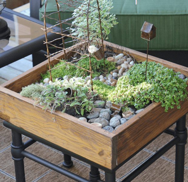 Diy Tabletop Miniature Garden