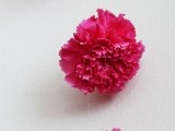 diy-valentines-day-fresh-flower-wall-hanging-2