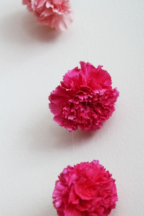 DIY Valentine’s Day Fresh Flower Wall Hanging