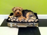 vintage suitcase dog bed