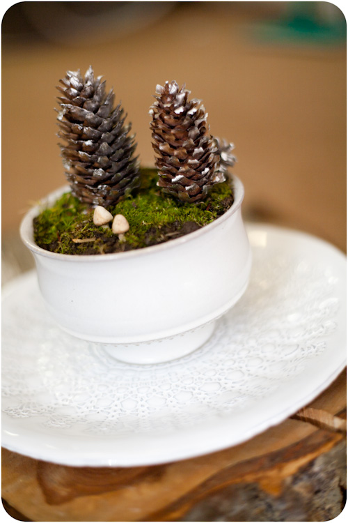 DIY Winter Terrarium To Bring Some Nature In Your Home