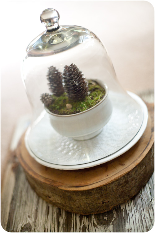 Diy Winter Terrarium To Bring Some Nature In Your Home