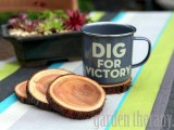 Diy Wood Branch Coasters