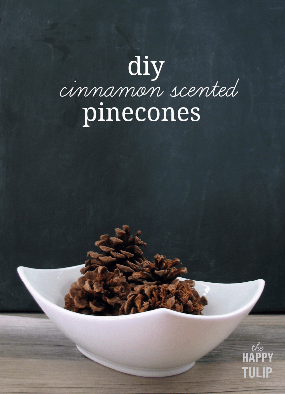 cinnamon scented pinecones