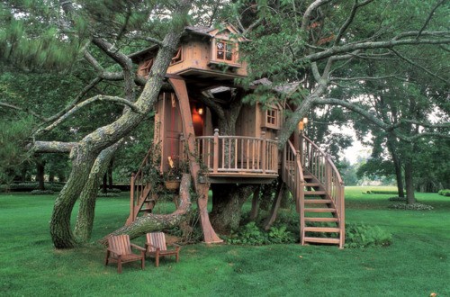 10 Tree Houses You Can Only Dream Of